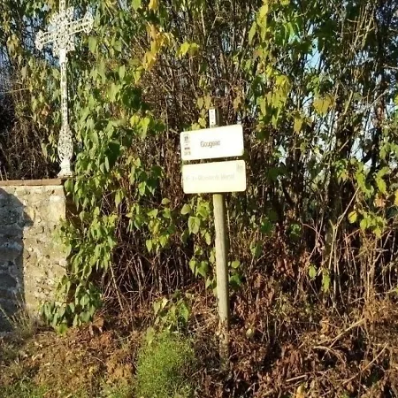 House Bellegarde Marsal - 6 Pers, 200 M2, 4/3 Prázdninový dům